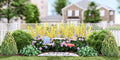 Plants That Work for a Backyard Oasis Garden (PLANTS THAT WORK BACKYARD OASIS Garden) -